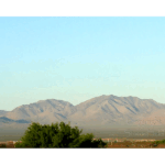 Arizona 001