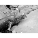 Children's Pool 012