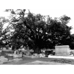 Cypress Grove Cemetery 028