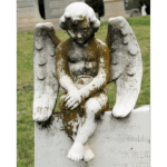 Greenwood Cemetery 010