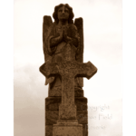 Greenwood Cemetery - Before the Cross