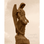 Greenwood Cemetery - Garland