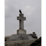 Greenwood Cemetery - Watchman 002