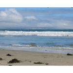 Imperial Beach 001