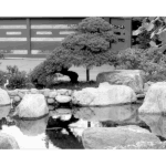 Japanese Friendship Garden 006