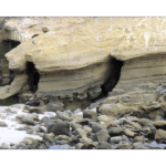 La Jolla Cove 002