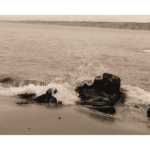 La Jolla Cove 009