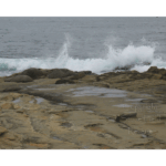La Jolla Cove 016