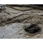 Point Loma Tidal Pools 003
