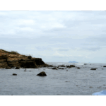 Point Loma Tidal Pools 004