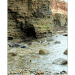 Point Loma Tidal Pools 008