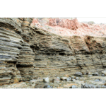 Point Loma Tidal Pools 011