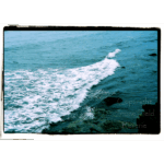Point Loma Tidal Pools 018
