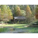 Mercer – Japanese Tea House Pond
