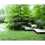 Mercer – Japanese Tea House