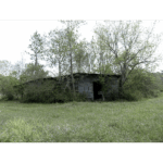 Neglected Shed