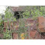 Antique Machinery 002