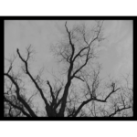 Deserted 004