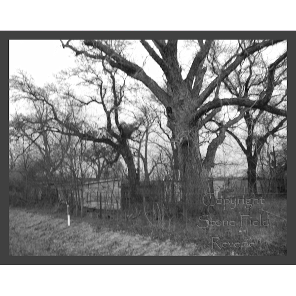 Deserted 003