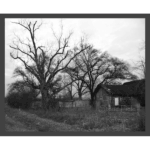 Deserted 002