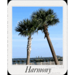 Kemah - Palms