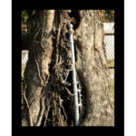 Humble Cemetery - Incorporate