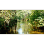 Little Gunpowder River - Harford County