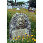 Galveston Cemetery - Anna
