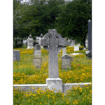 Galveston Cemetery - Cross in Bloom