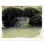 Japanese Tea Garden 003