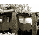 Japanese Tea Garden 005