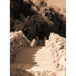 Japanese Tea Garden 009