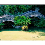 Japanese Tea Garden 013