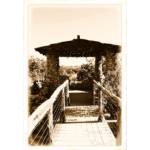 Japanese Tea Garden 015