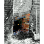 Japanese Tea Garden 017