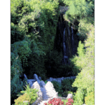 Japanese Tea Garden 019