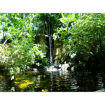 Moody Gardens - Moody Falls