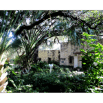 The Alamo 001