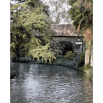 San Antonio River Walk 004