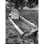 Glenwood Cemetery - 12 Years