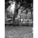 Glenwood Cemetery - Bench