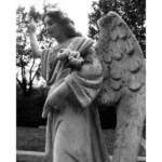 Glenwood Cemetery - Clarity