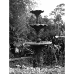 Glenwood Cemetery - Fountain