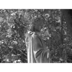 Glenwood Cemetery - Missing