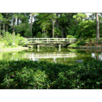 Hermann Park 004