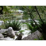 Hermann Park 007