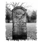 Masonic Cemetery - Jackson