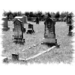 Roberts Cemetery - Bauer