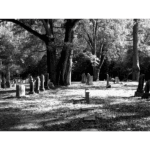 Willow Creek Cemetery - View 002